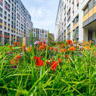Объявление Студия, 25.3м2, 1/13 эт